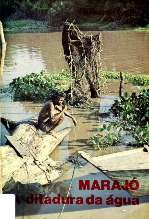 Marajó A ditadura da água